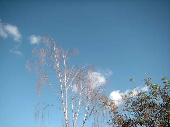 16 October 2005