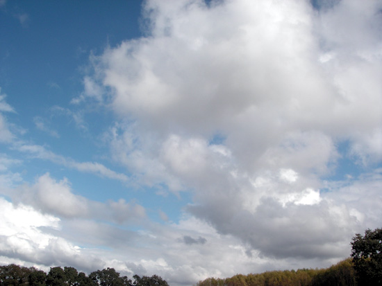 5 October 2006