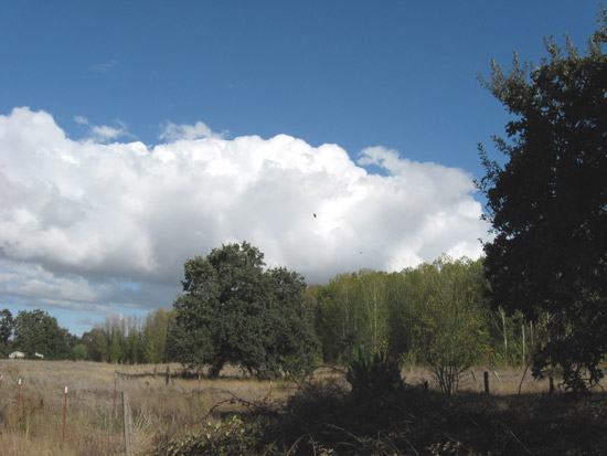 4 October 2008