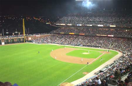 the view from section 333