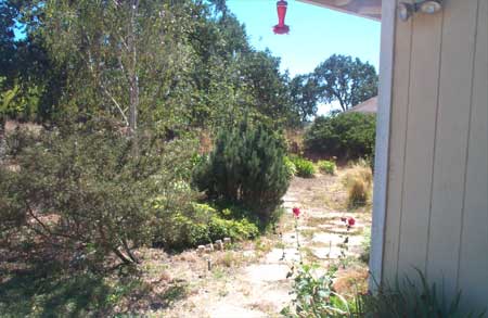 reverse angle
