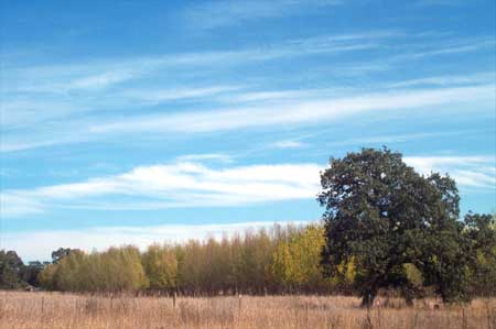 blue sky, with clouds