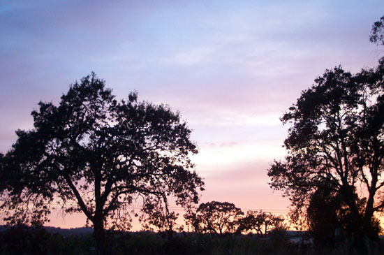 sunset