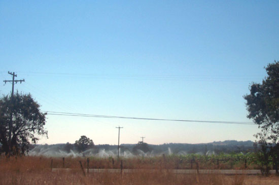 31 August 2003