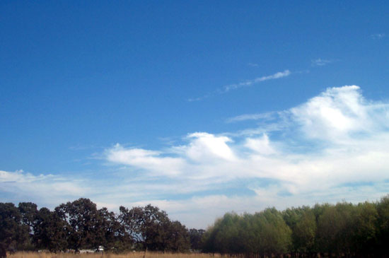 15 September 2003