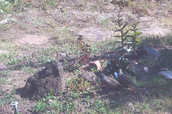 23 September 2003