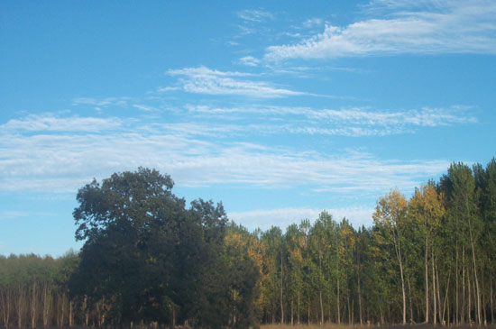 1 September 2004