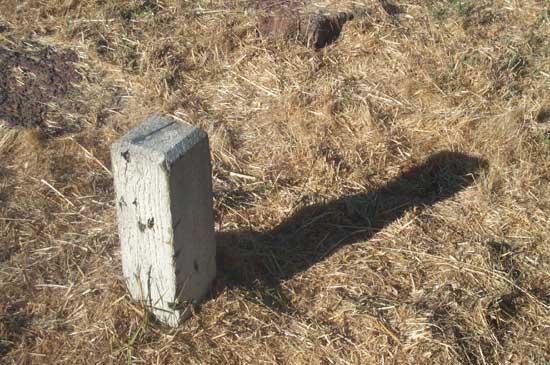 8 September 2004