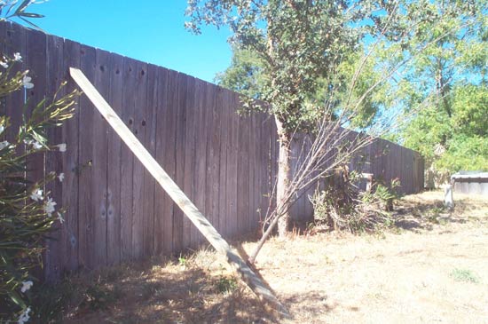 14 September 2004