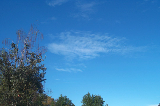 25 September 2004