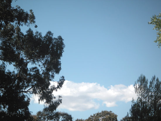 10 September 2005