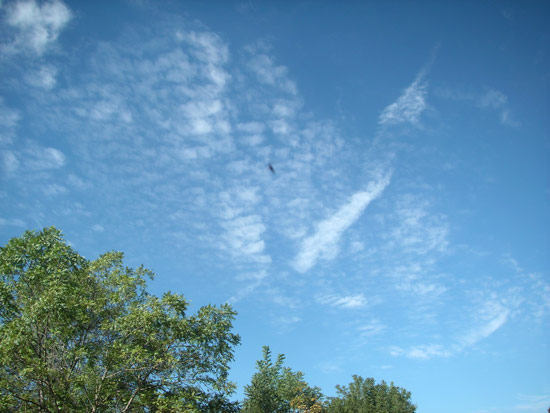 22 September 2005
