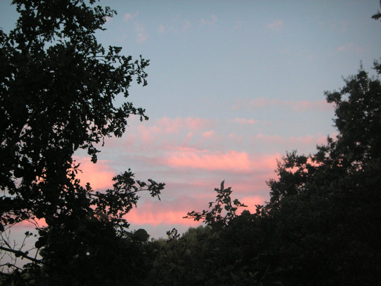 12 July 2007