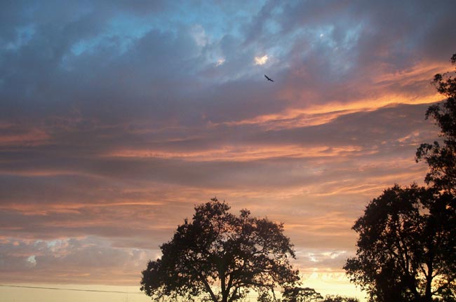 an August sunset