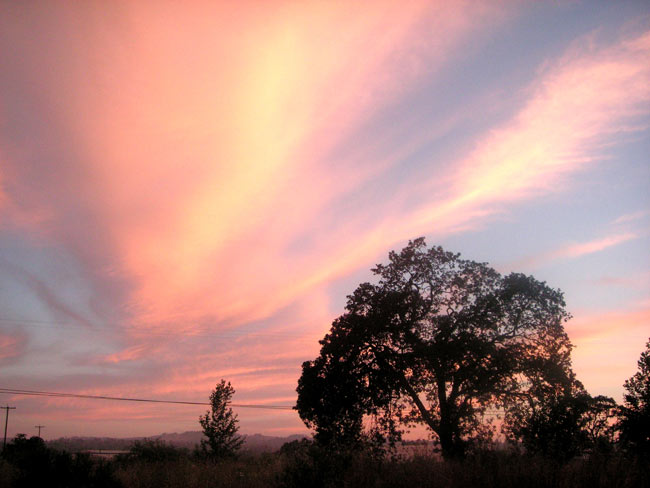 summer sunset