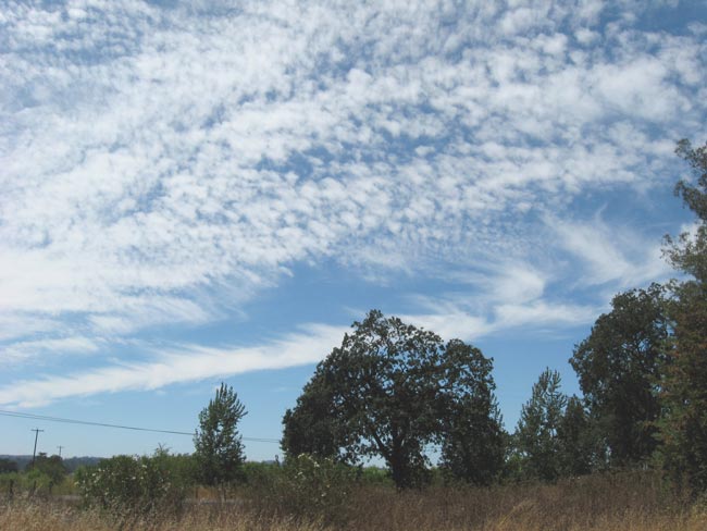 summer sky