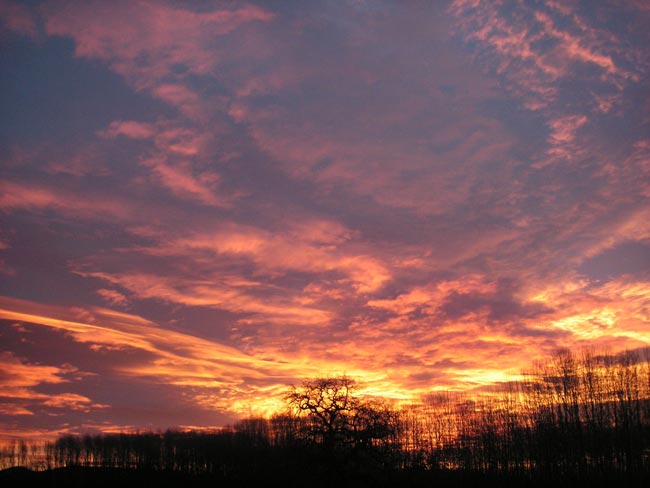 sunrise