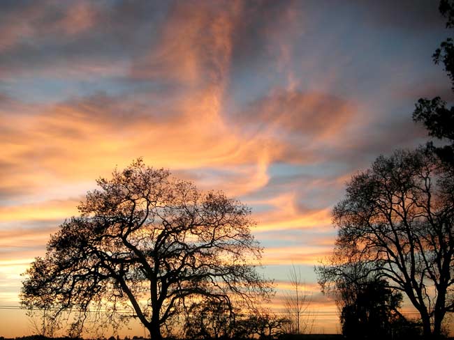 sunset