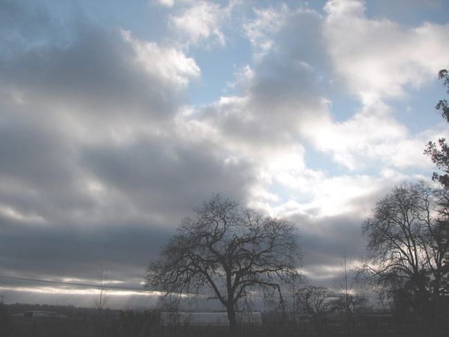 January sky