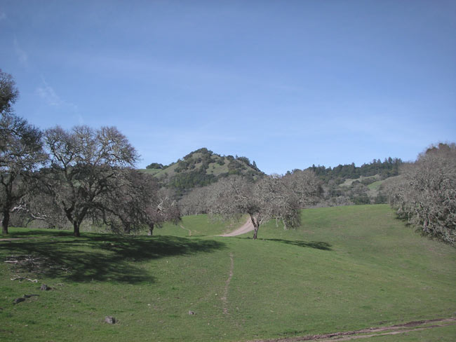 hills of Sonoma County