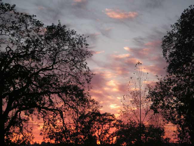 fiery sunset