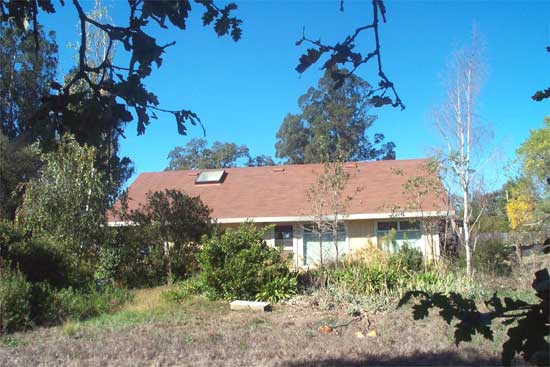 house in the trees