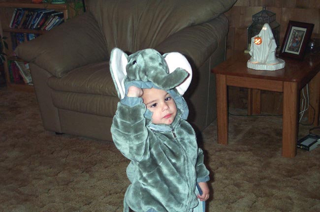 Dakota, Halloween 2003