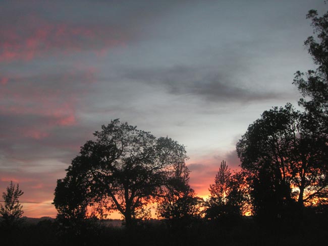 autumn sunset