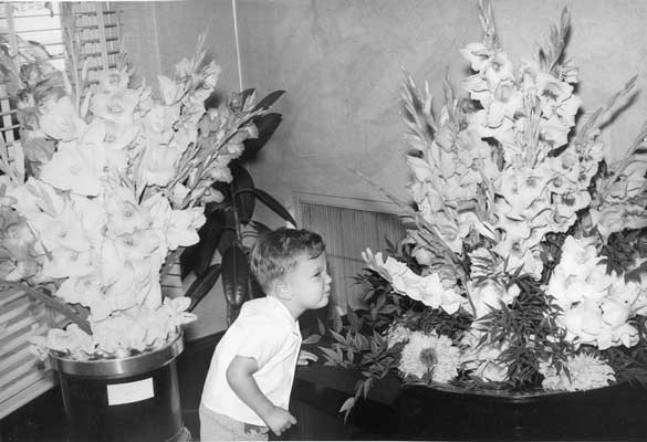 Michael, 1951
